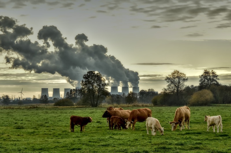 Welche Auswirkungen hat der Europäische Emissionshandel?