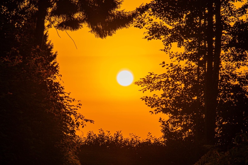 Schutz vor Sonne und Hitze